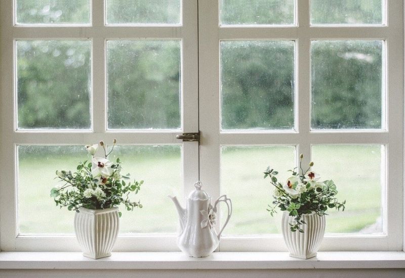 window-plant